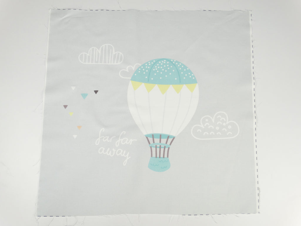 Hot air balloon 1