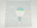 Hot air balloon 1