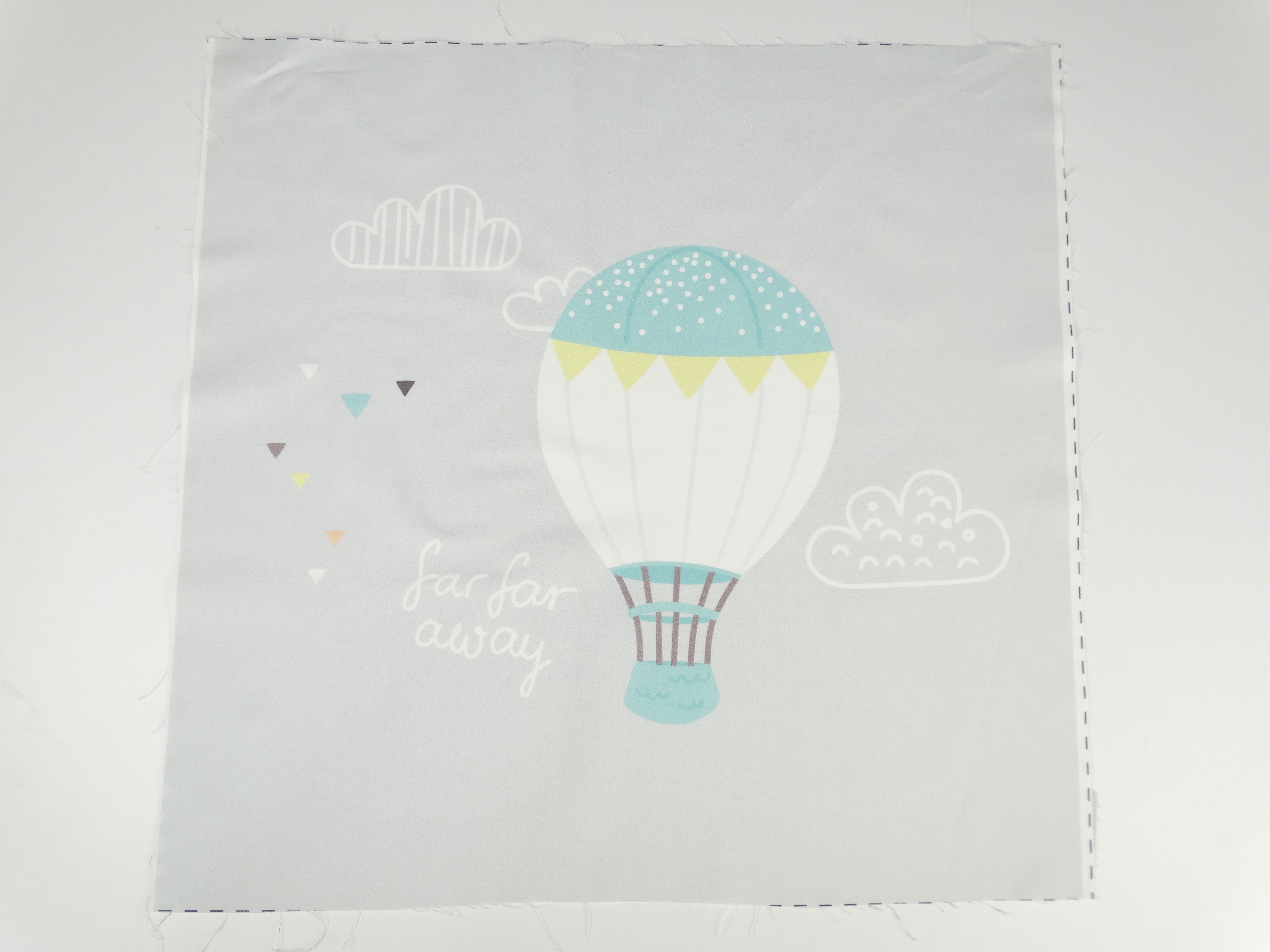 Hot air balloon 1