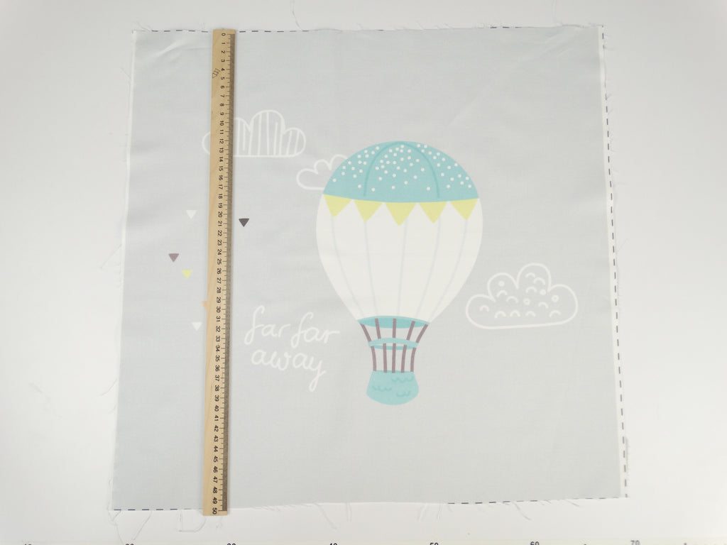Hot air balloon 1