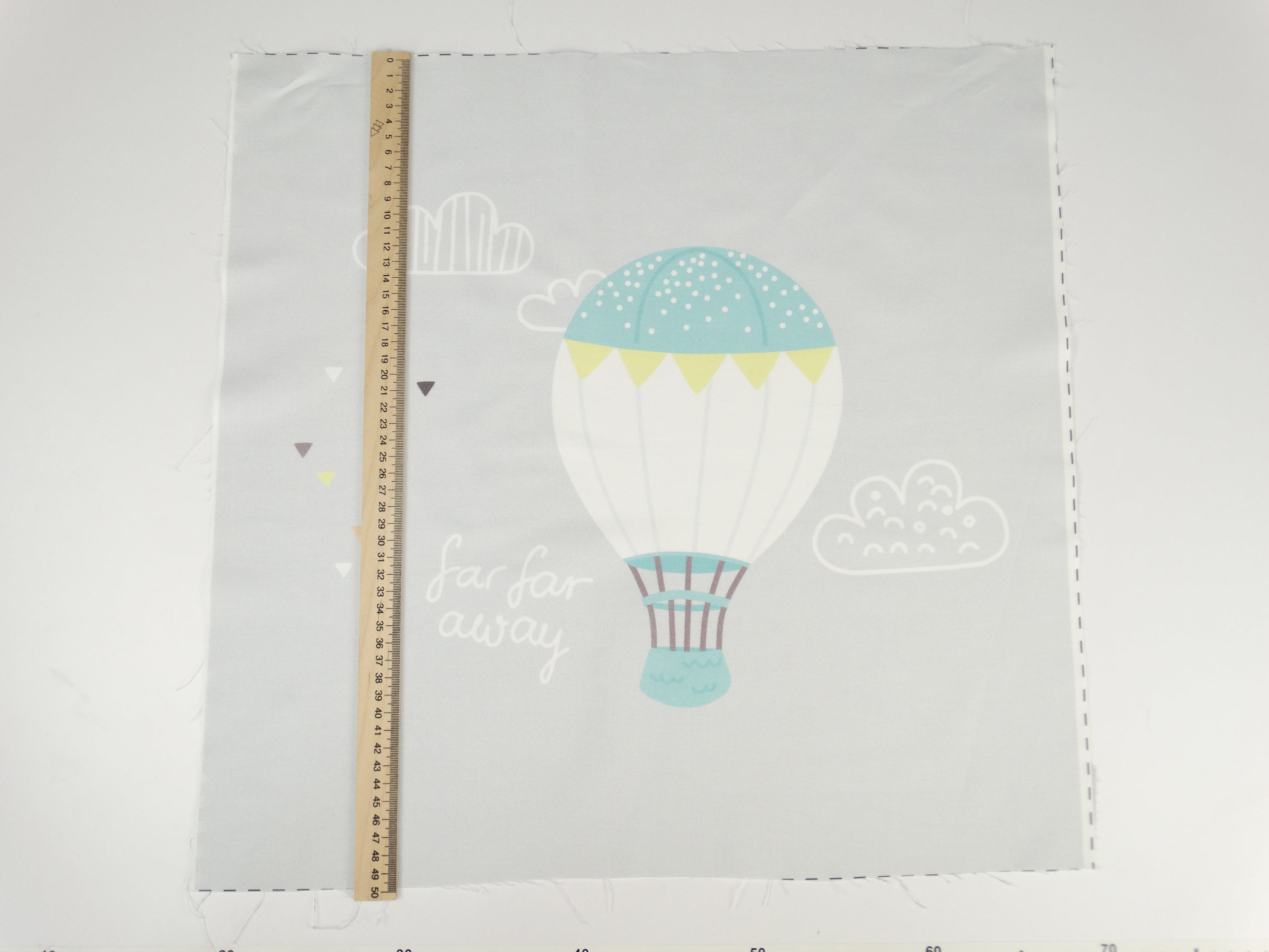 Hot air balloon 1