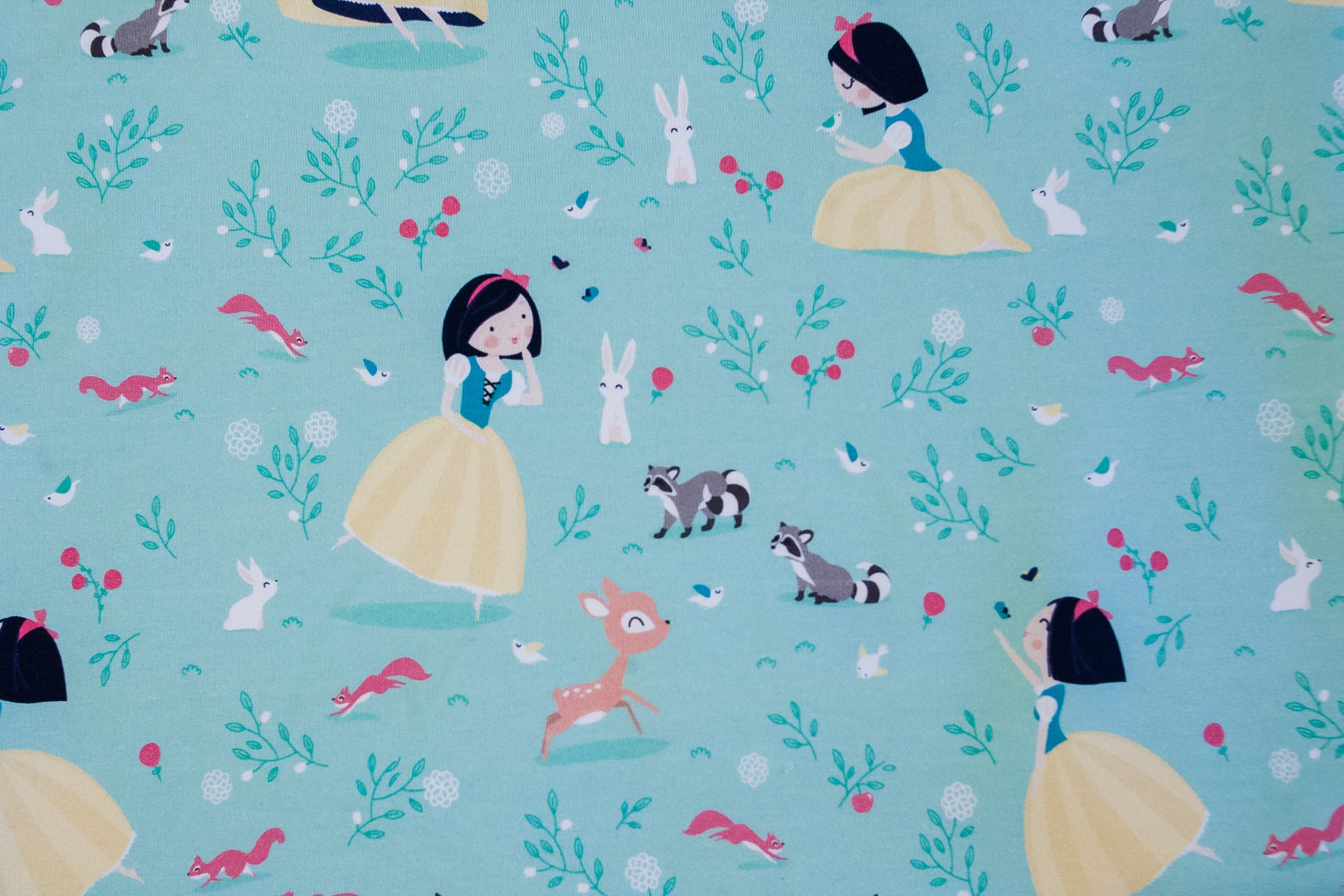 Snow White Footer