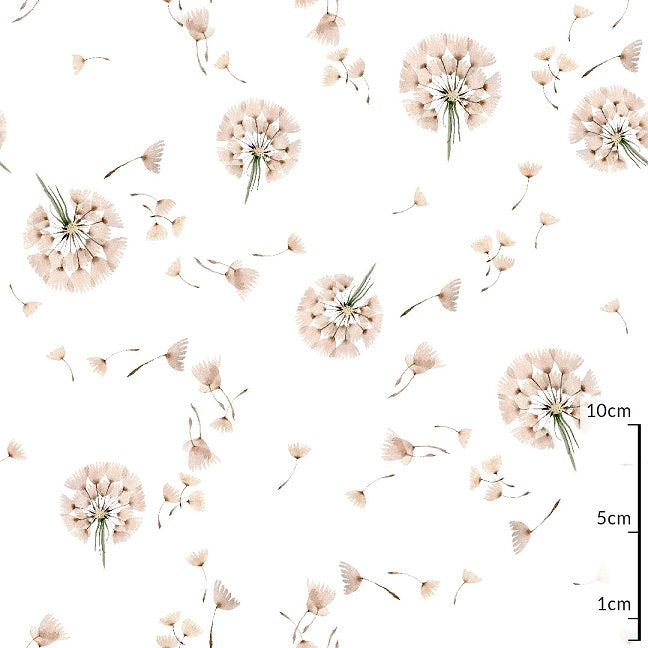 Polish cotton Dandelion