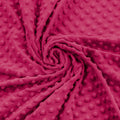 Plush Fuchsia fuchsia in pimples
