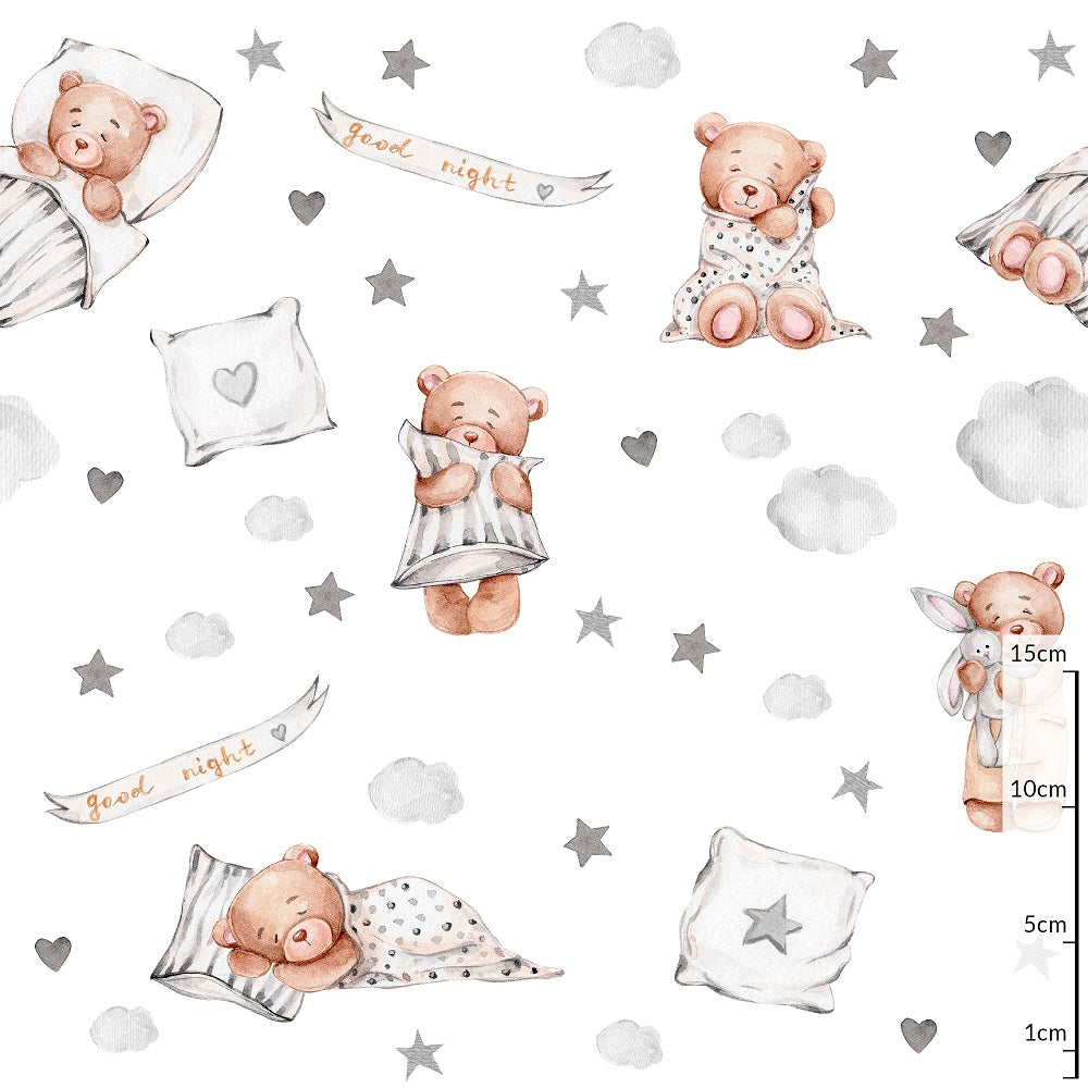 Teddy bear with a pillow
