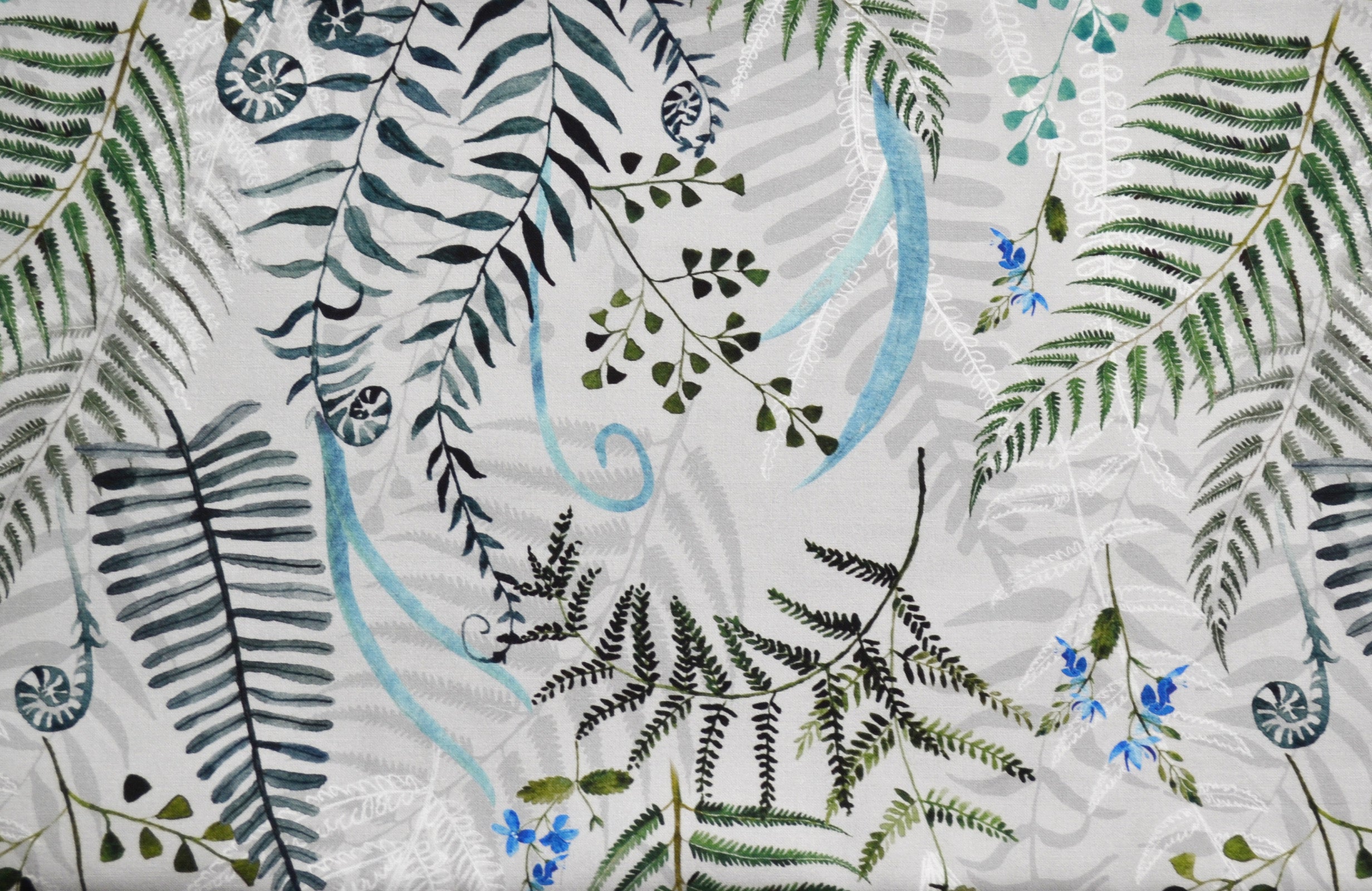 Fern on gray