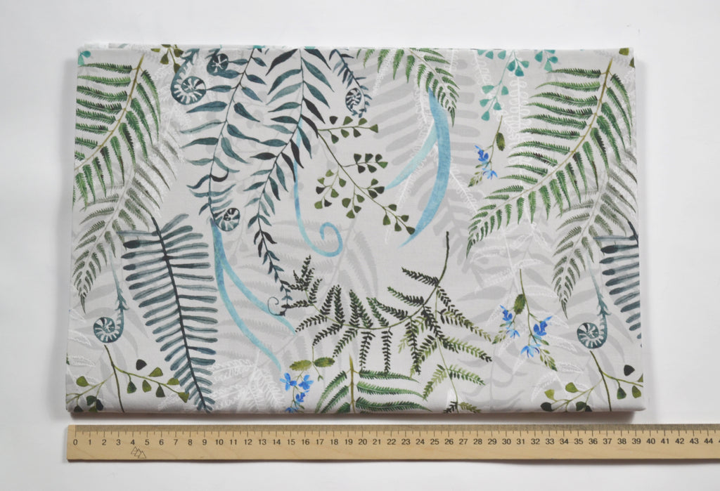 Fern on gray