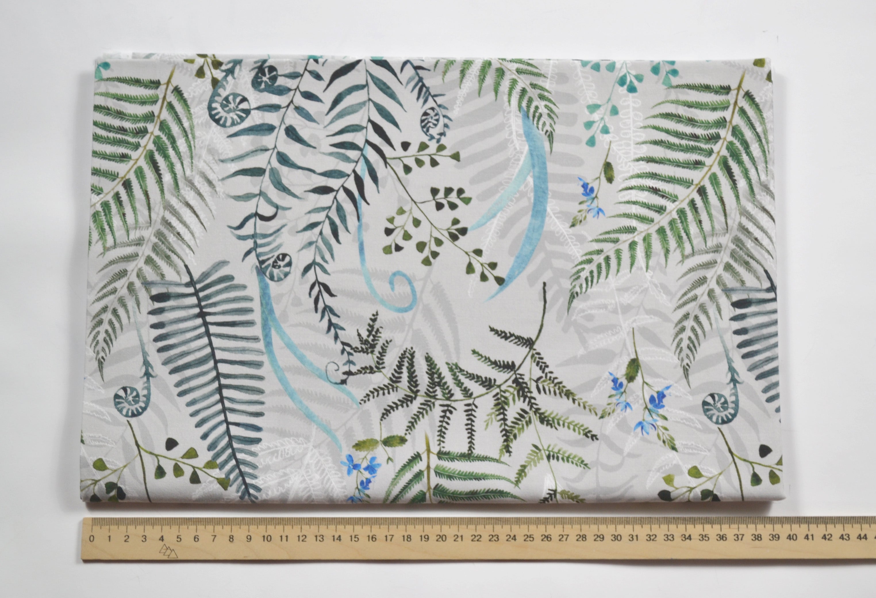 Fern on gray