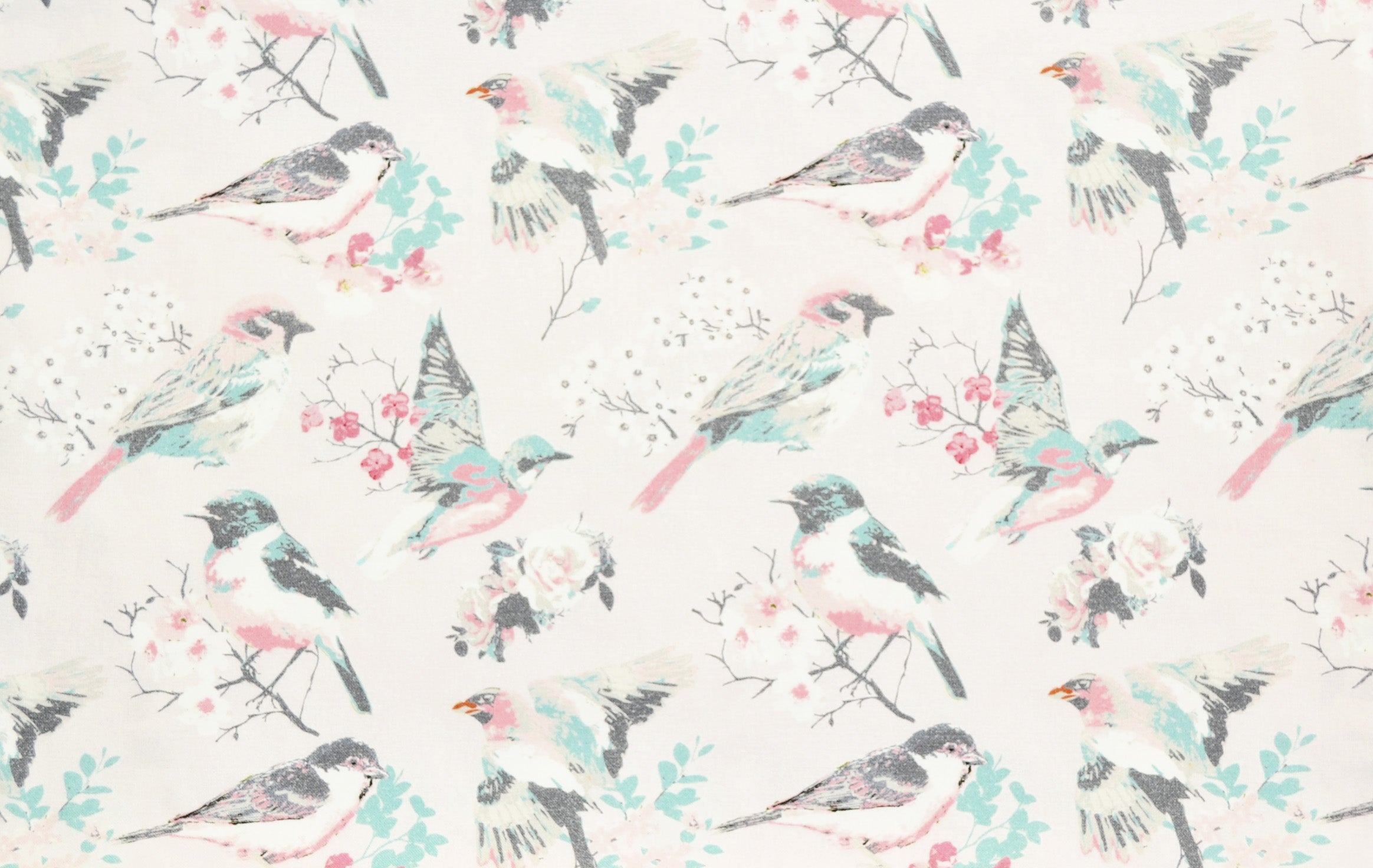 Watercolor birds
