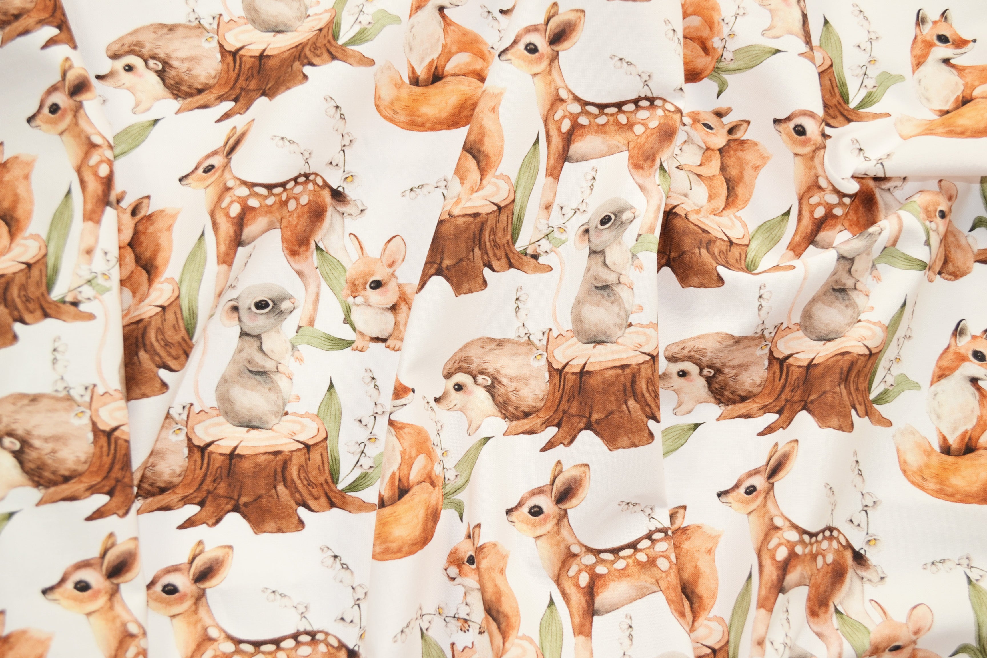 Forest animals on stumps