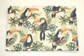 Toucans
