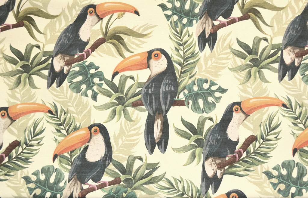 Toucans