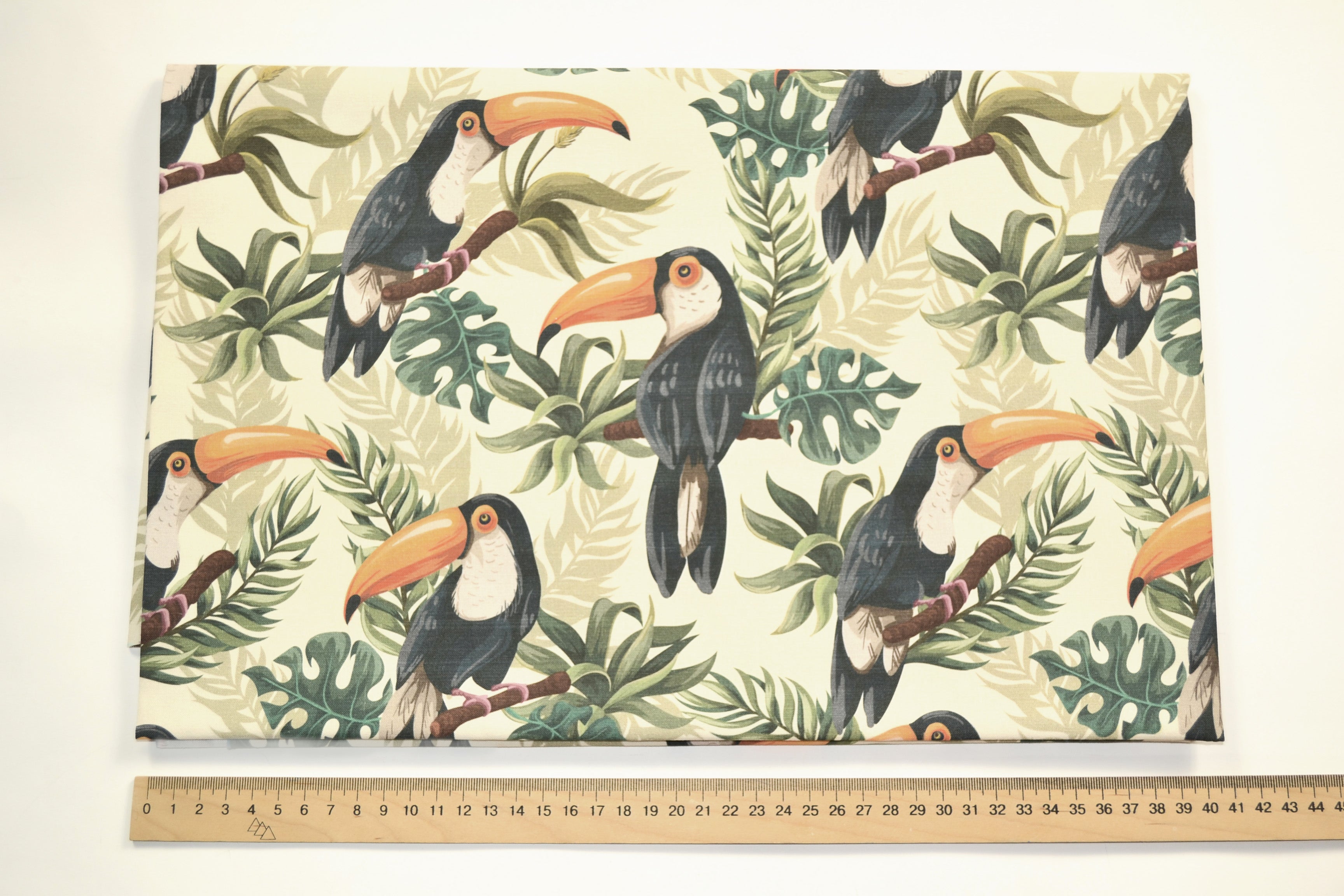 Toucans
