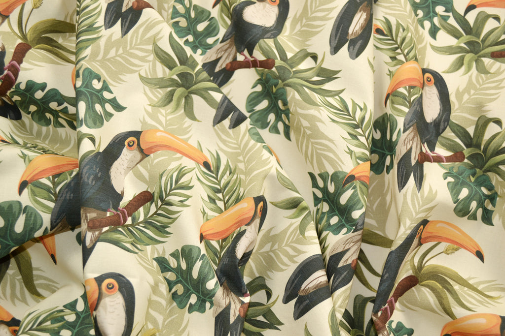Toucans