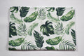 Monstera leaves