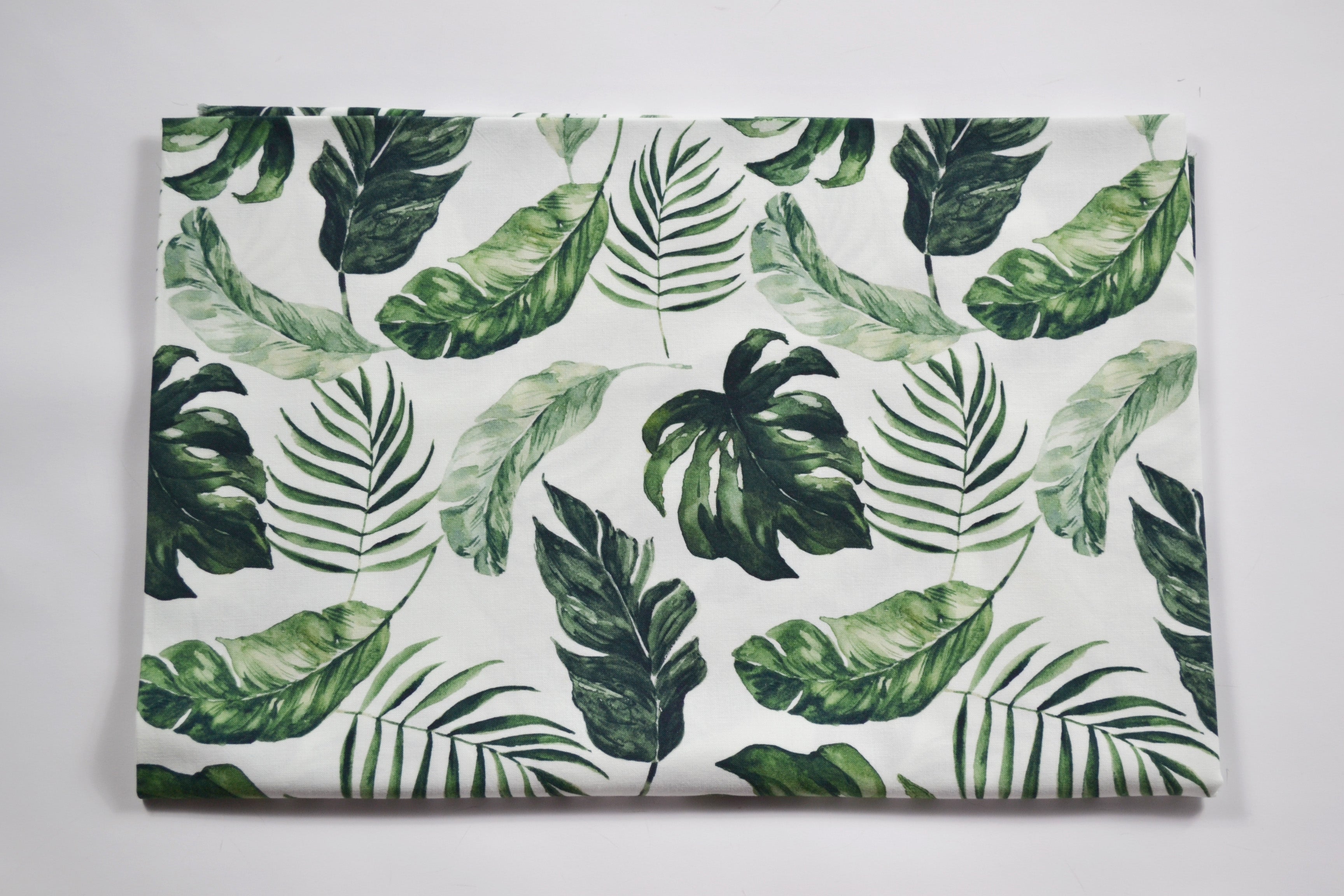 Monstera leaves