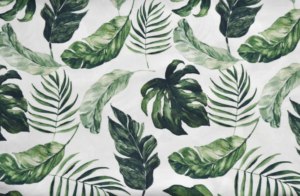 Monstera leaves