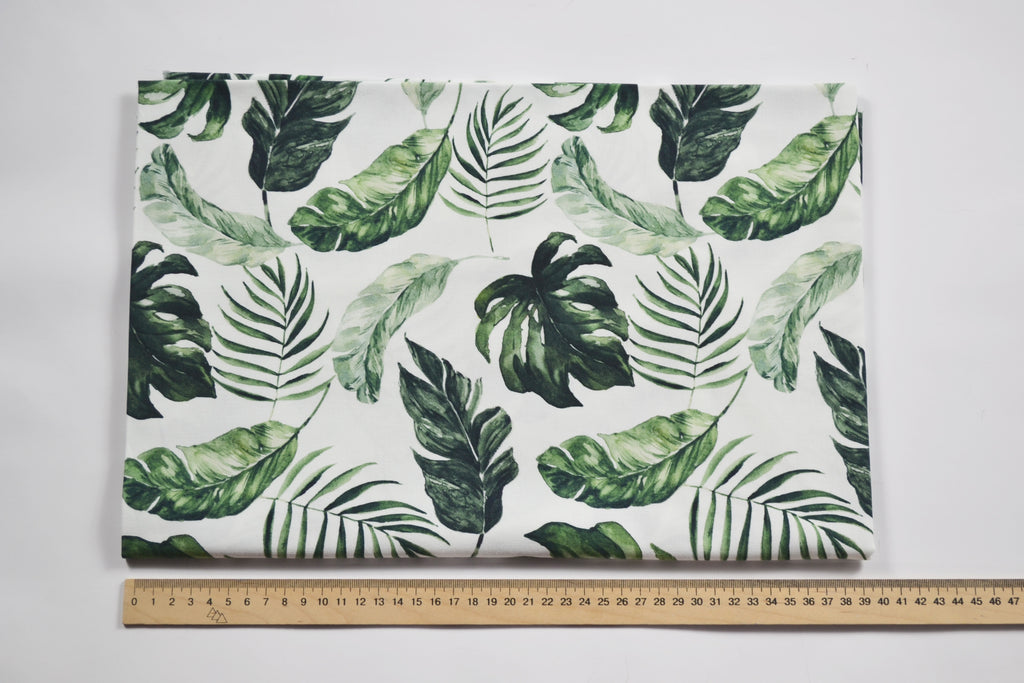 Monstera leaves