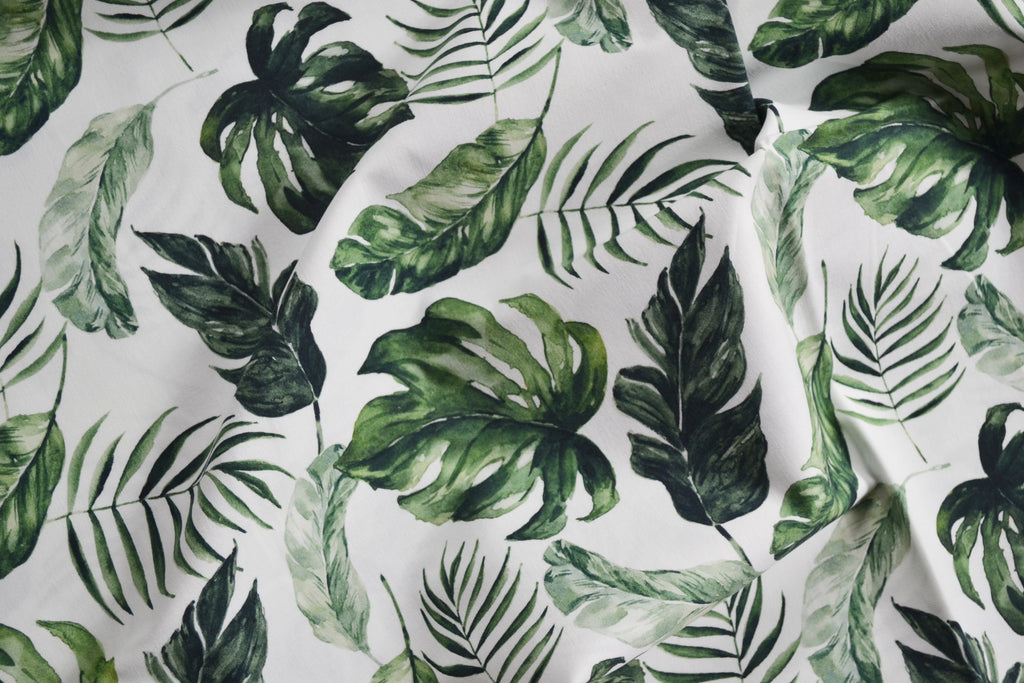 Monstera leaves