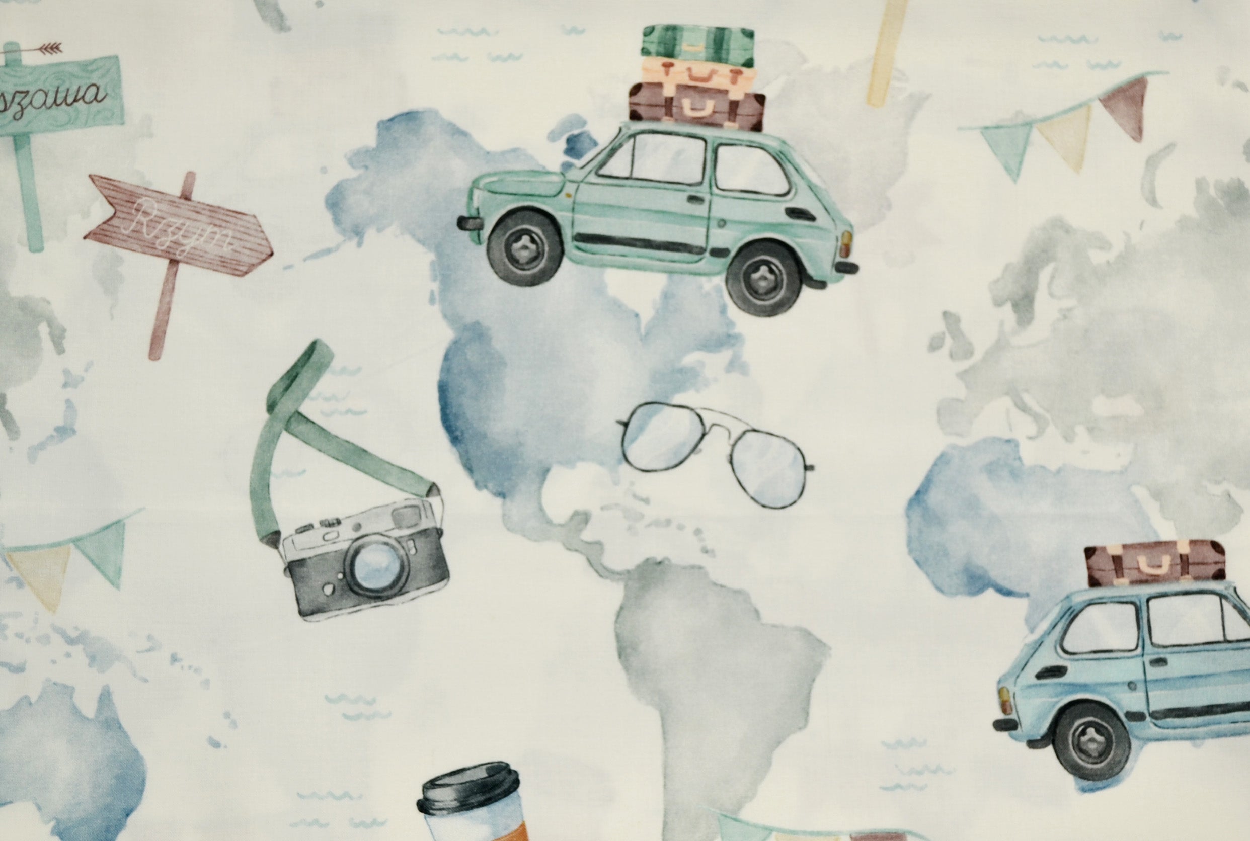 Cars on the world map