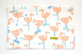 Flamingo on skateboards