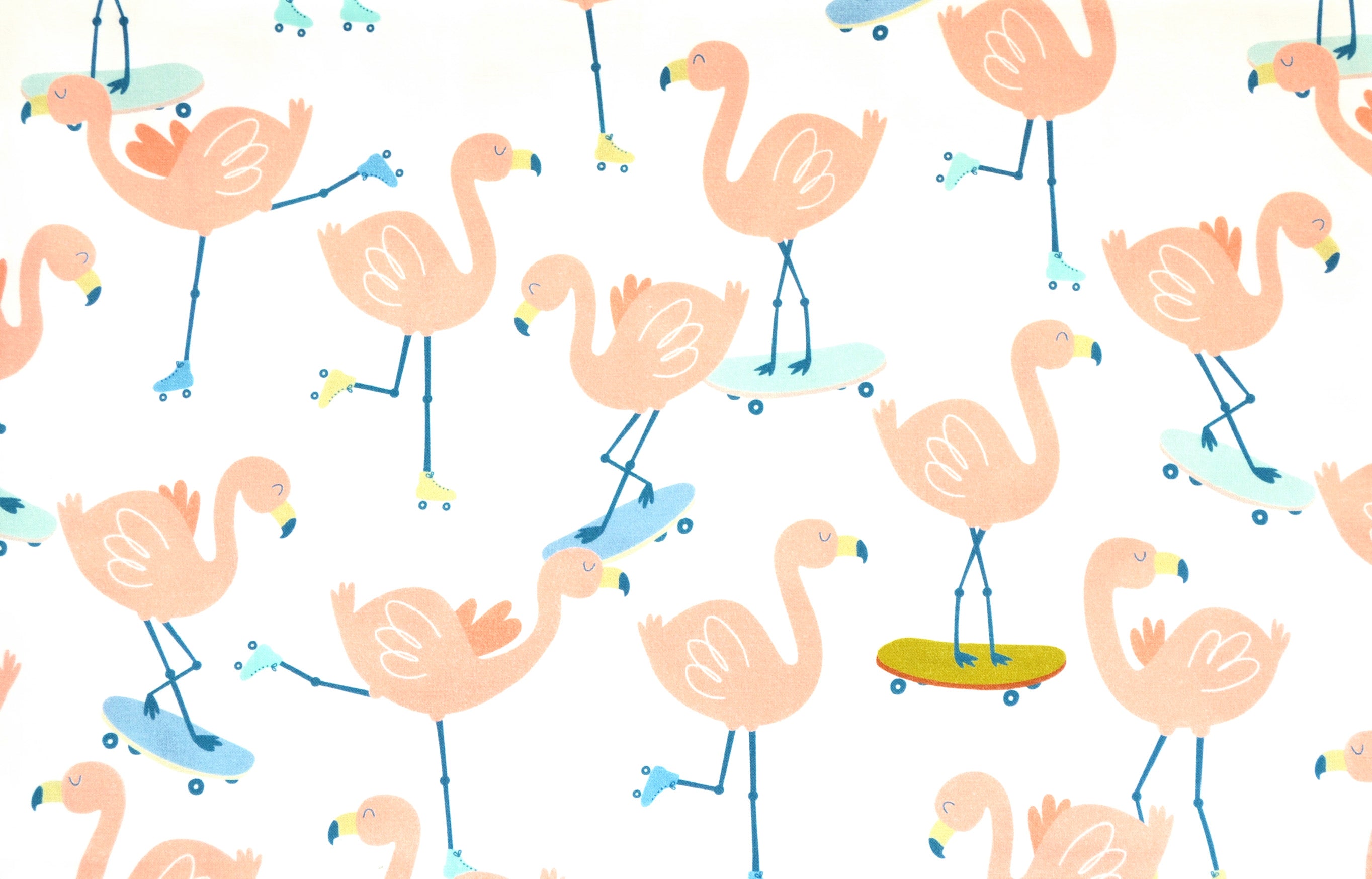 Flamingo on skateboards