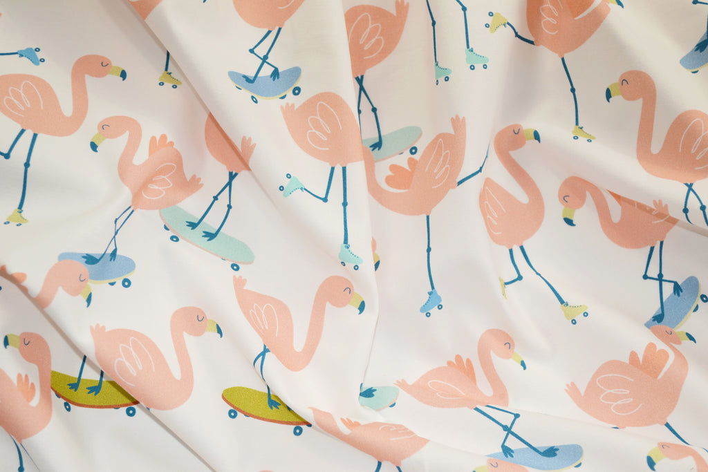 Flamingo on skateboards