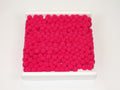 Ribbon with pompoms 20 mm Fuchsia